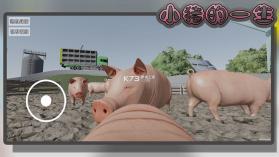 有一只猪 v1.0.1 下载官方正版app 截图