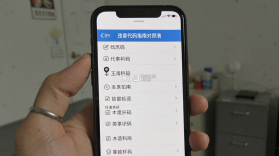 违章代码指南 v1.0.0 下载官方版 截图