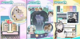 恋小喵 v1.8.0 app下载免费 截图