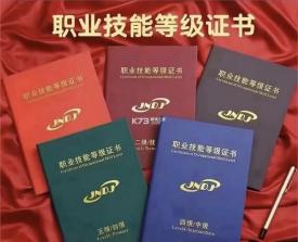 老年人能力评估师 v5.1.3 安卓app下载 截图