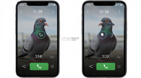 鸽子对讲 v1.0.0 安卓app下载 截图