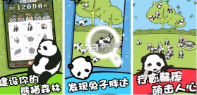 金熊猫奖 v3.4.0 app下载免费 截图
