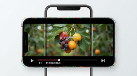 野果 v1.2 官方app下载安装 截图