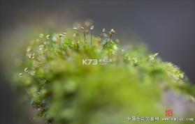 苔米花护听器 v1.0.0 官方app下载安装 截图
