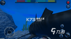 模拟鲨鱼狩猎求生 v1.0 安卓app下载 截图