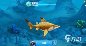 模拟鲨鱼狩猎求生 v1.0 安卓app下载 截图