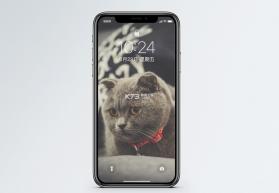 问玄猫 v1.1.1 下载官方版 截图