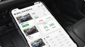 车300二手车 v5.6.3.01 下载官方版 截图