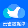 云雀移动采编 v3.6.9 app下载免费