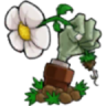 植物大战僵尸海克斯大乱斗版 v1.0 破解版