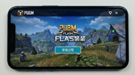 PUBGM FLASH安装器 v4.6.0 下载手机版 截图