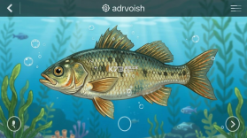 格式鱼 v1.0.4 下载官方版 截图