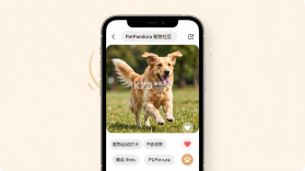 PetPandora宠物社区 v1.0.8 安卓app下载 截图