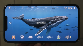 鲸鱼AI助手 v2.1.9 安卓app下载 截图