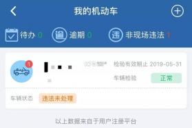 交通出行违章指南 v1.0.6 安卓app下载 截图