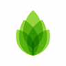 芦笋 v1.9.11 app