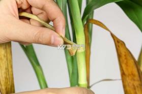 迈巴克好物 v1.1.0 官方app下载安装 截图