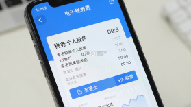 电子税务个人发票 v1.0.2 安卓app下载 截图
