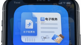 电子税务个人发票 v1.0.2 安卓app下载 截图