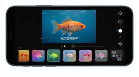 彩鱼 v1.1.570 安卓app下载 截图