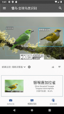 免鸟 v1.1.3 下载app安装正版 截图