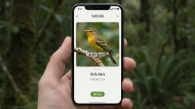 懂鸟 v1.6.0 安卓app下载 截图