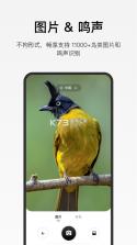 懂鸟 v1.6.0 安卓app下载 截图