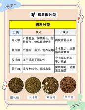 宠星 v1.0.2 app下载 截图