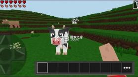 荒野之王 v1.0.5 安卓app下载 截图