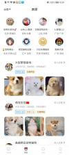 宠物托管宝 v1.30 安卓app下载 截图