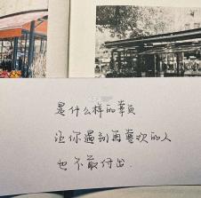 文案句子 v100.100.190 官方app下载安装 截图