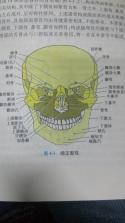 音控 v0.92.0 安卓app下载 截图