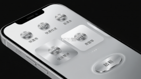 银闪闪 v1.2.9 下载官方版 截图
