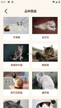 Cat Language Converter(猫语翻译器) v3.2.4 app下载 截图