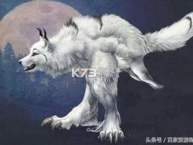 虫虫 v1.3 下载官方版 截图