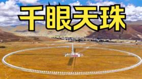 康菲特健康 v1.0.50 app下载 截图