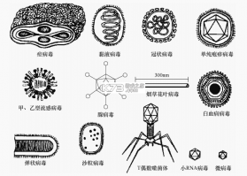 老王之家 v1.10.7 app下载 截图