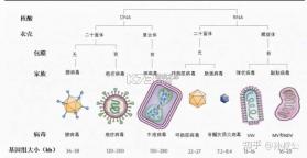 老王之家 v1.10.7 app下载 截图