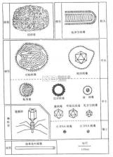 老王之家 v1.10.7 app下载 截图