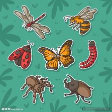 桃象 v5.1.0 官方app下载安装 截图