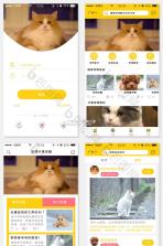 爱宠宠 v1.2.45 app下载 截图