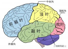 学考妹 v1.6.89 官方app下载安装 截图