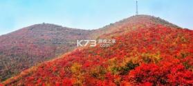 显影 v1.0.0 app下载 截图