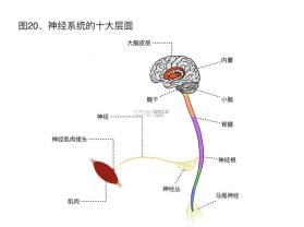 咖管店 v2.17.3 安卓app下载 截图