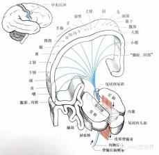 咖管店 v2.17.3 安卓app下载 截图
