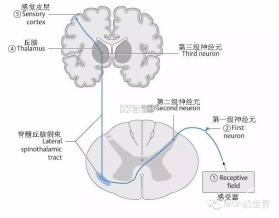 咖管店 v2.17.3 安卓app下载 截图