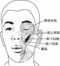 SCOOX零际 v1.2.2 app下载 截图