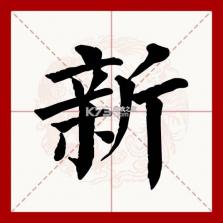 新概念英语全册 v2.3.2 下载app安装正版 截图