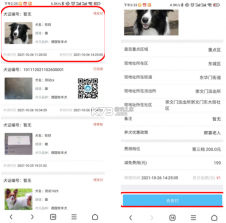 68宠物 v6.15.0 官方app下载安装 截图