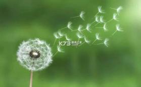 风糖小组件 v1.6.2 下载安装 截图